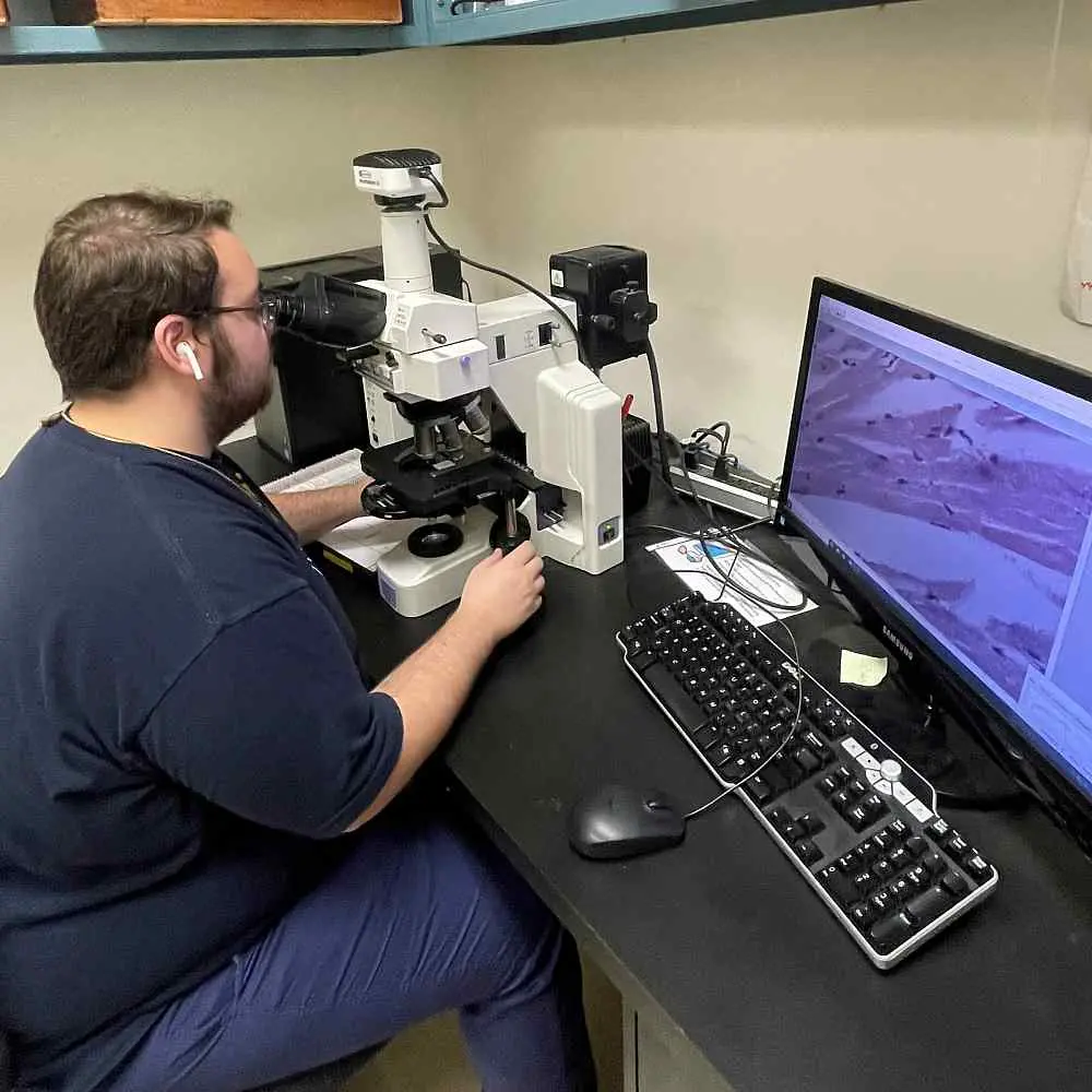 A person is sitting at a lab desk, looking through a microscope, while simultaneously viewing images on a computer screen. They are wearing earbuds and surrounded by lab equipment, with a keyboard and mouse on the desk.