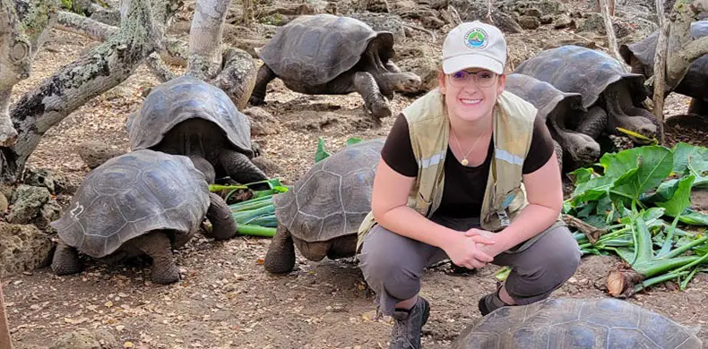 A person in outdoor gear and a cap squats beside several large tortoises eating leafy greens in a forested area. The person is smiling, and the scene is surrounded by trees and soil.
