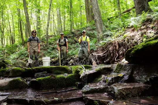 Three people stand on a mossy, rocky stream bed in a dense, green forest. They wear outdoor gear, including waders and boots, and are surrounded by trees and ferns, with a white bucket nearby. Sunlight filters through the canopy.