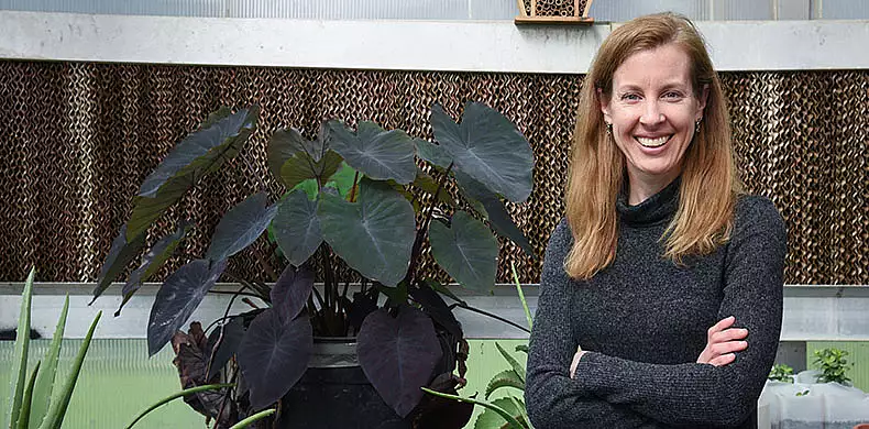 Image for news story: Katherine Straub Named Dean of Natural and Social Sciences