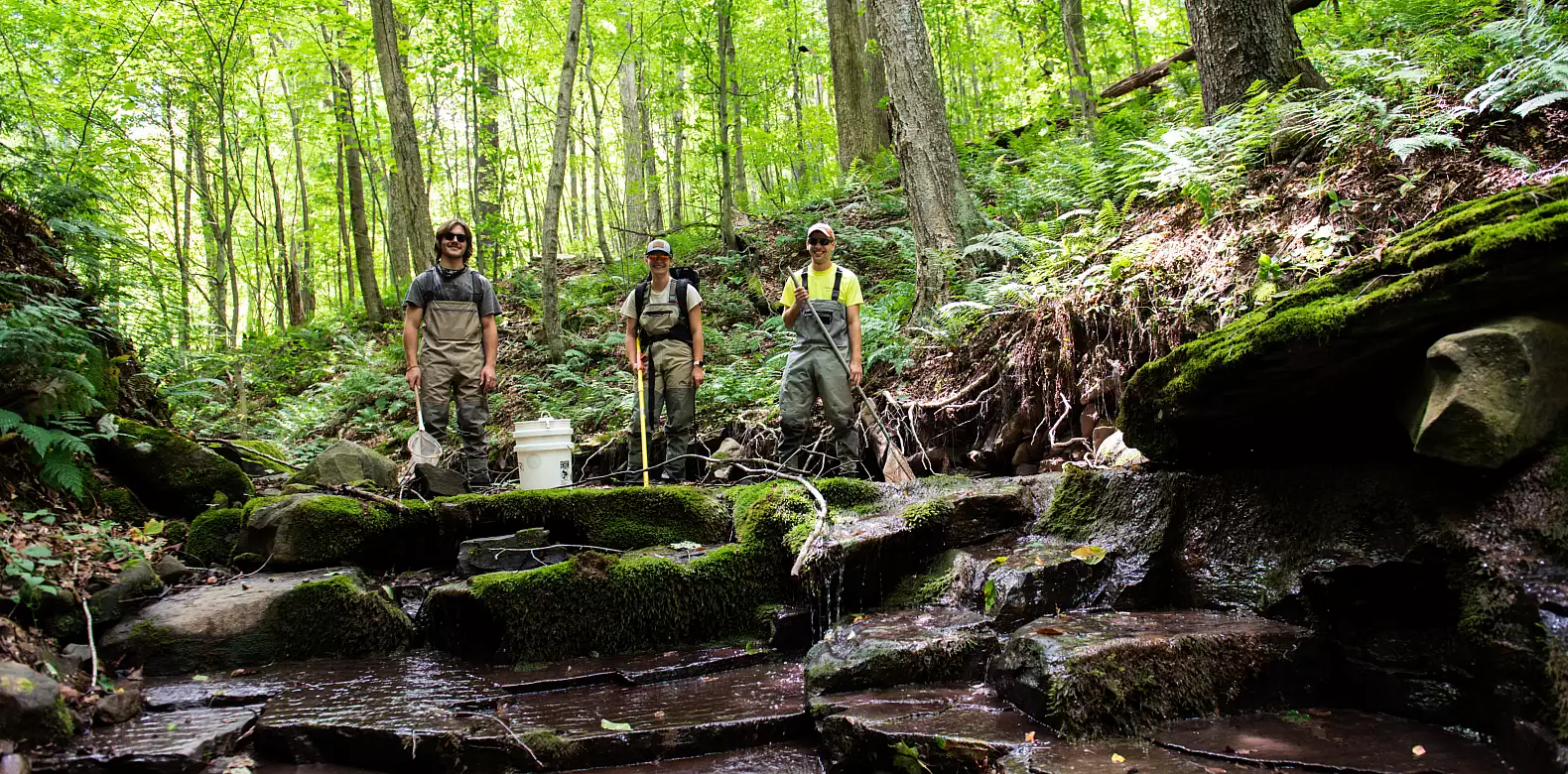 Image for news story: Students Fish for Data, Trout To Detect Stream Health