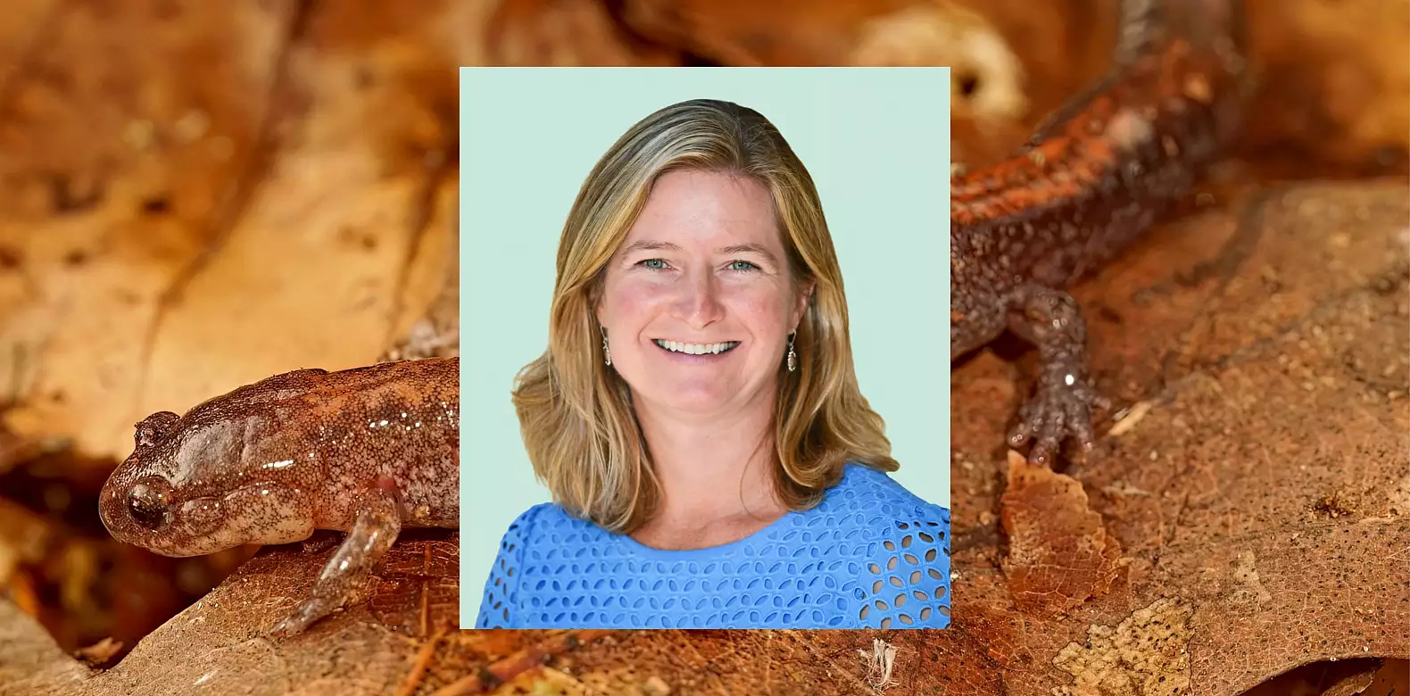 Image for news story: Susquehanna awarded $3 million climate change research grant