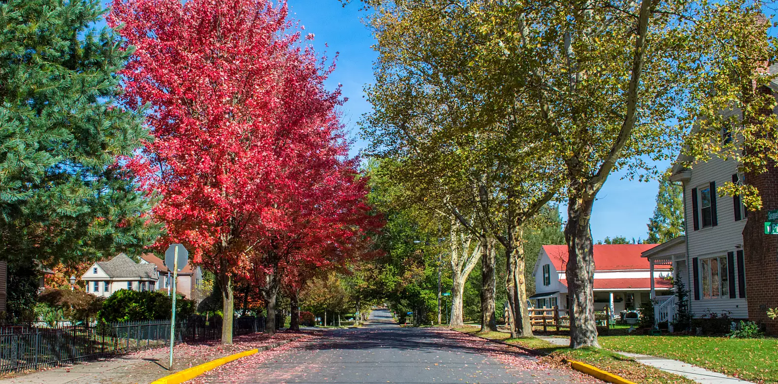 Image for news story: Won’t you be my neighbor?