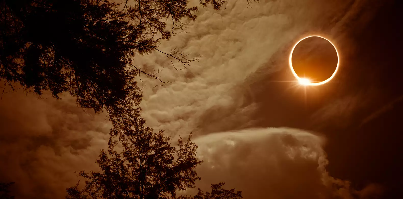 Image for news story: Turn your eyes to the sky