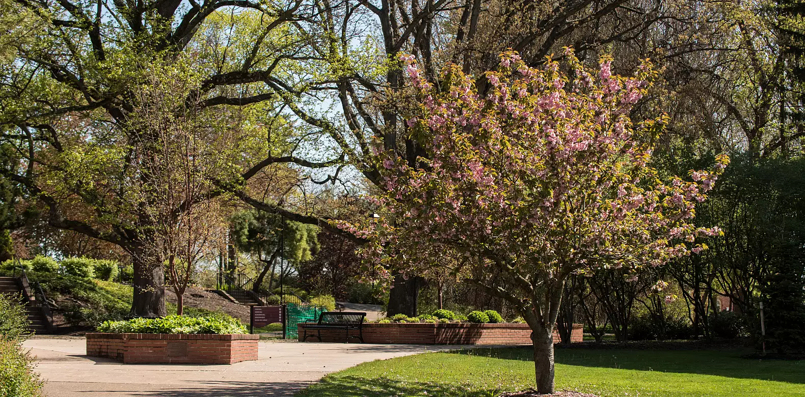 Image for news story: Spring Plan 2022 Adjustments