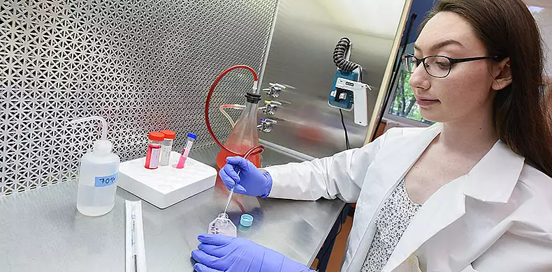 Image for news story: Senior Conducts Research in Cancer Biology