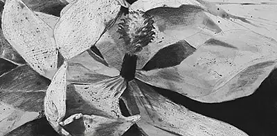 Image for news story: Lore Degenstein Gallery Opens Season on Sept. 1