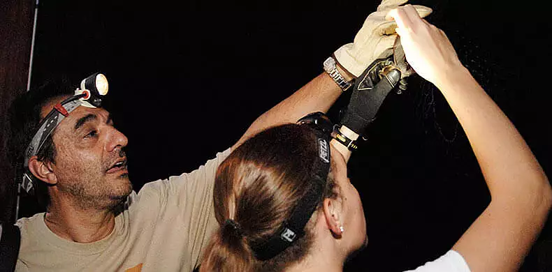 Image for news story: Iudica Named to National Ecology Group