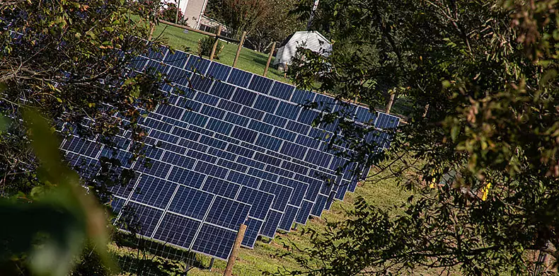 Image for news story: Princeton Review names Susquehanna among nation’s ‘green’ colleges