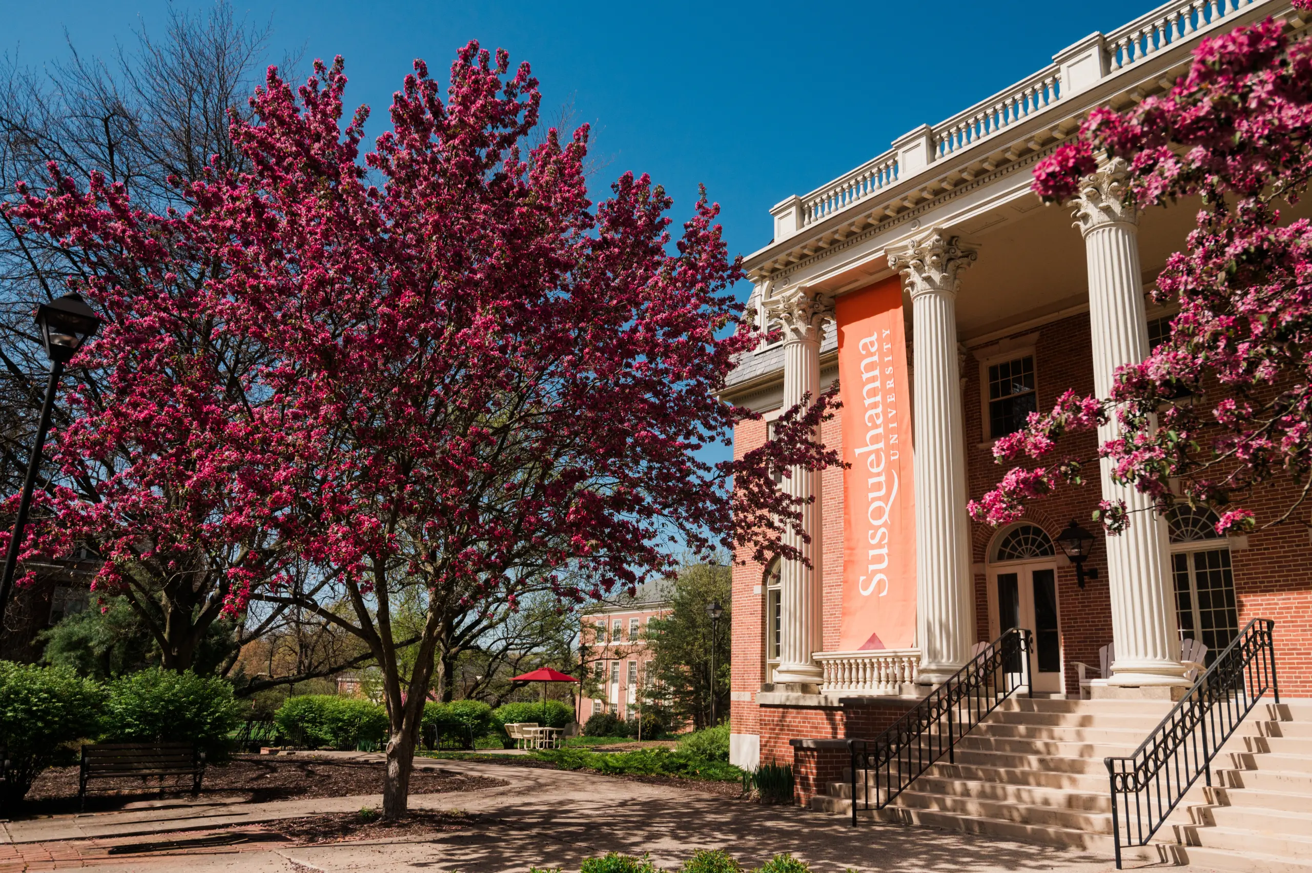 A historic brick building with tall columns and a "Susquehanna University" banner is framed by blooming pink trees and a clear blue sky. The vibrant landscaping includes green shrubs and a paved walkway.