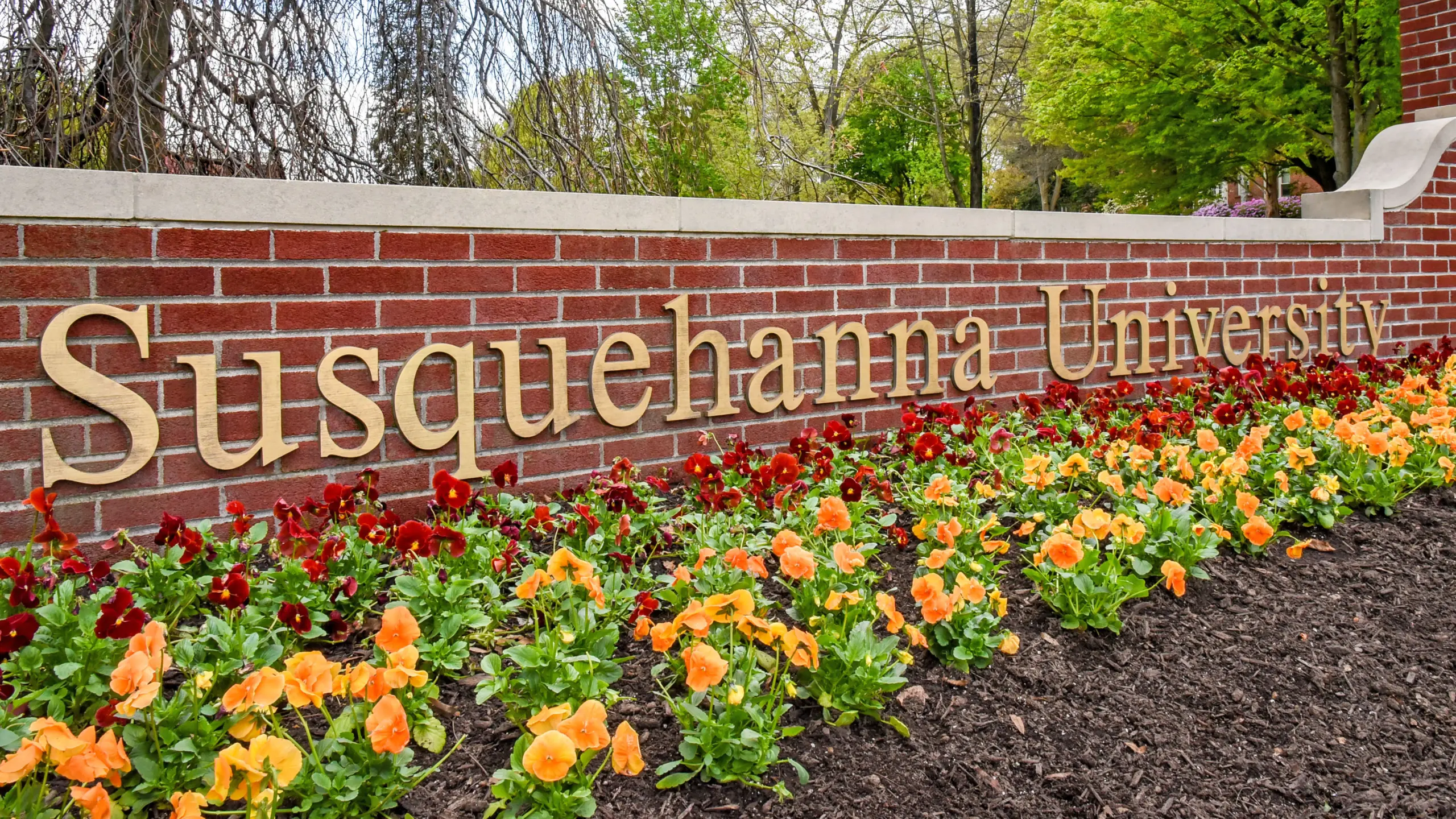 A brick wall with "Susquehanna University" in large letters. In front, there is a flower bed with orange and red flowers. Trees with spring foliage are visible in the background.