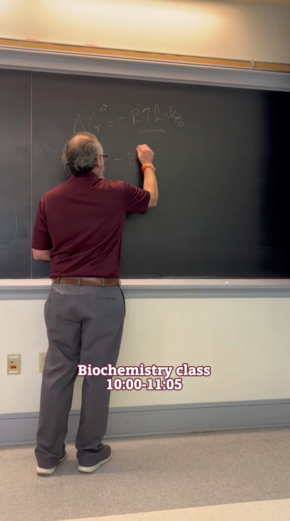 A person in a maroon shirt and gray pants writes on a chalkboard filled with equations in a School of Natural & Social Sciences classroom. The board displays, "ΔG° = RT (lnKeq)" with a label reading, "Biochemistry class 10:00-11:05.