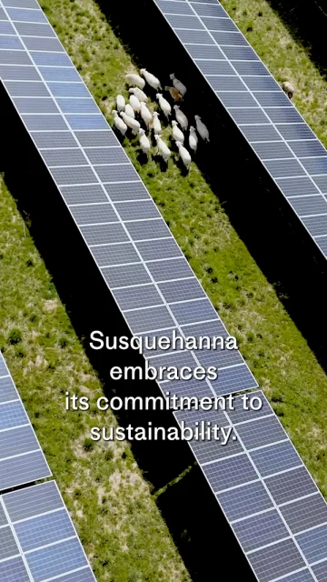Aerial view of several sheep grazing between rows of solar panels on a grassy field. Text overlay reads, "Susquehanna embraces its commitment to sustainability and research opportunities.