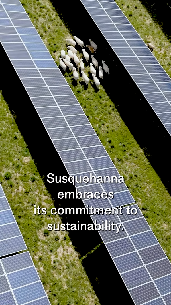Aerial view of several sheep grazing between rows of solar panels on a grassy field. Text overlay reads, "Susquehanna embraces its commitment to sustainability and research opportunities.