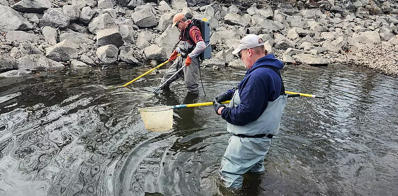 Two people in waders stand in a rocky stream, one holding a net and the other using a pole, possibly for research or collecting aquatic specimens. Rocks line the water’s edge in the background.