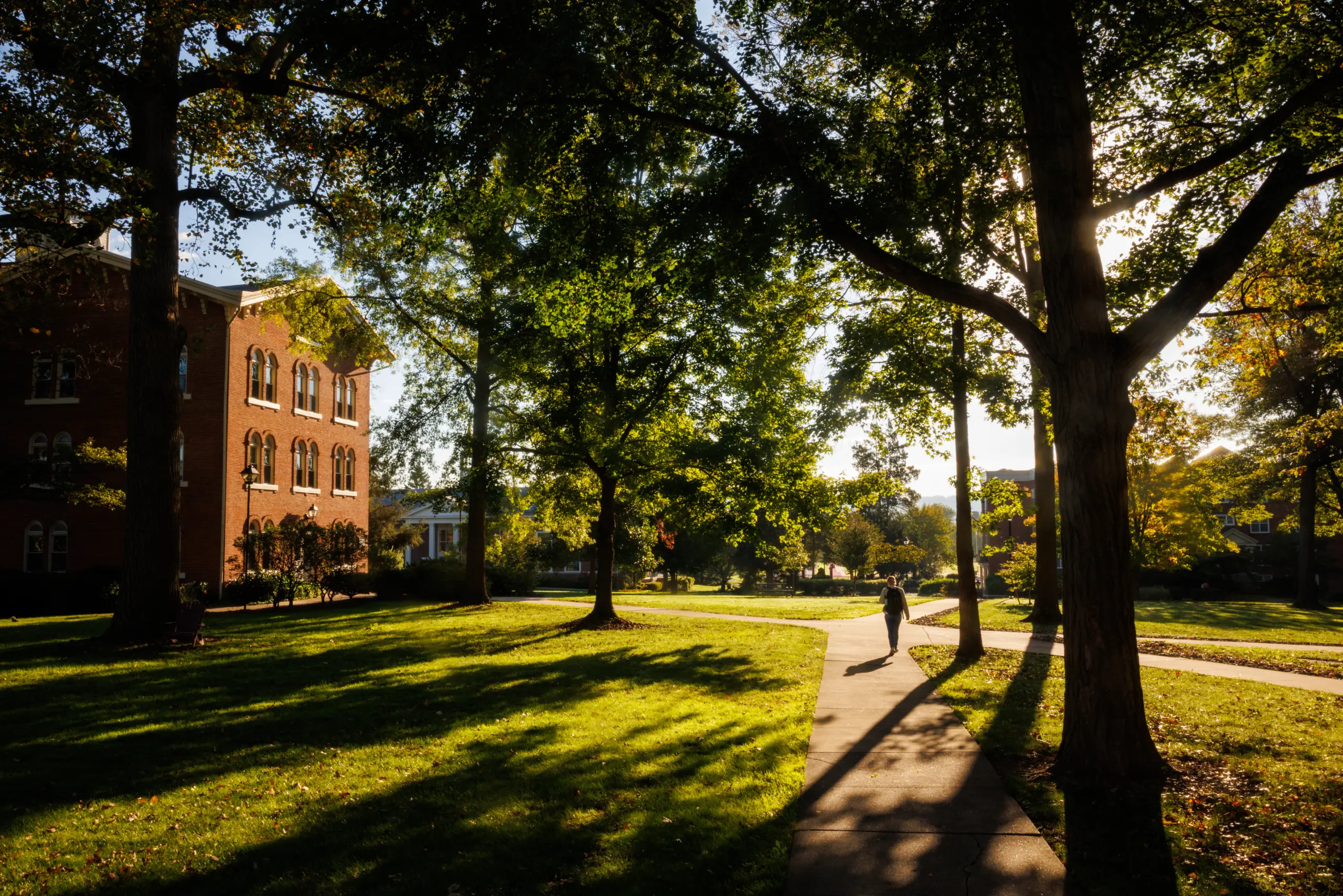 About a person walking on a sunlit sidewalk through a green, tree-lined college campus, with a brick building on the left. Sunlight filters through the trees, casting long shadows on the grass.