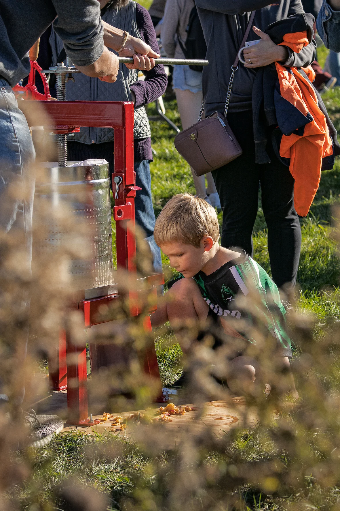 A young boy crouches on grass near an apple press while adults and other children stand nearby, some holding cups. The sunny outdoor setting, with blurred plants in the foreground, invites curiosity much like new research opportunities.
