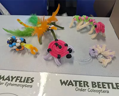A display of colorful insect models made from pipe cleaners, beads, and feathers is shown on a table near labels for "Mayflies" and "Water Beetle." The models depict various imaginative, bug-like creatures.