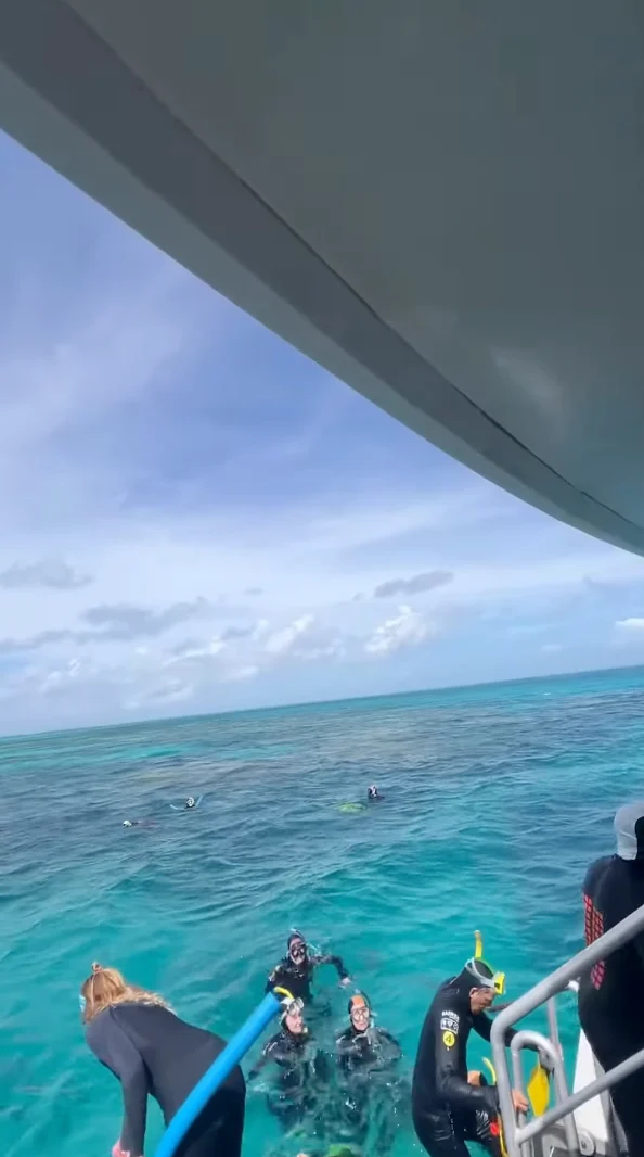 A group of snorkelers in wetsuits, perhaps academics on a field study, float in turquoise ocean water near a boat, with one person climbing a ladder onboard. The sky is mostly clear with scattered clouds.